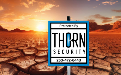 Safeguarding your home during a heatwave