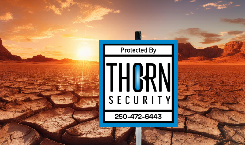 Safeguarding your home during a heatwave