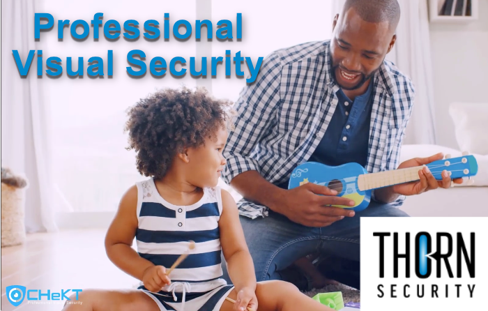 Professional Visual Security