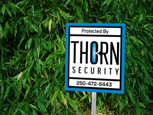 Switch to Thorn Security